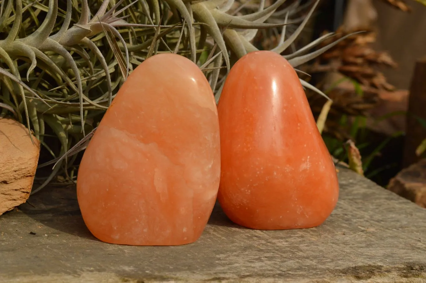 Polished Orange Twist Calcite Standing Free Forms  x 4 From Maevantanana, Madagascar