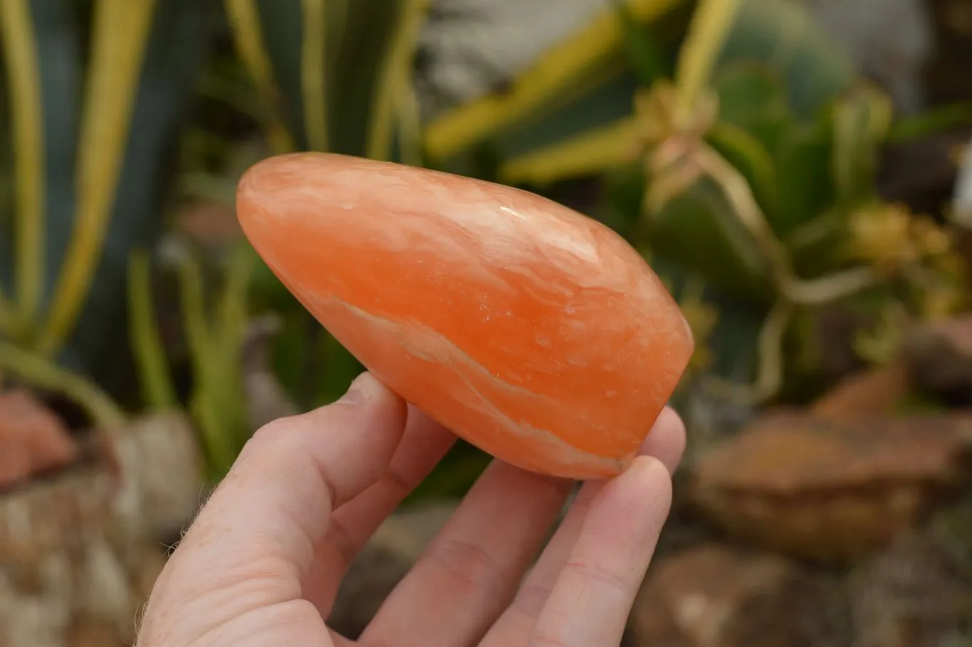 Polished Orange Twist Calcite Standing Free Forms  x 4 From Maevantanana, Madagascar