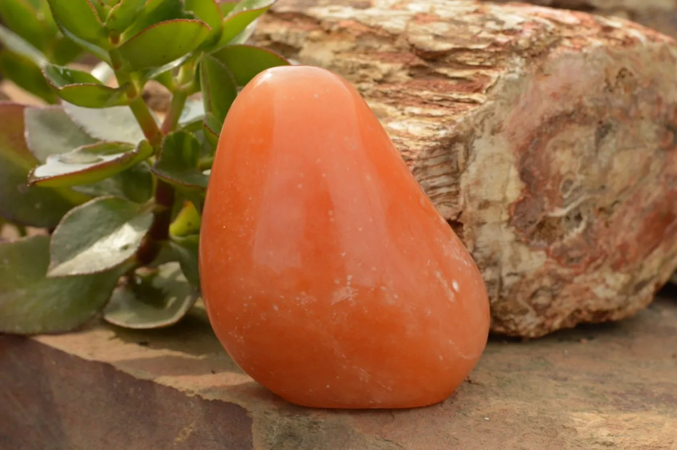 Polished Orange Twist Calcite Standing Free Forms  x 4 From Maevantanana, Madagascar