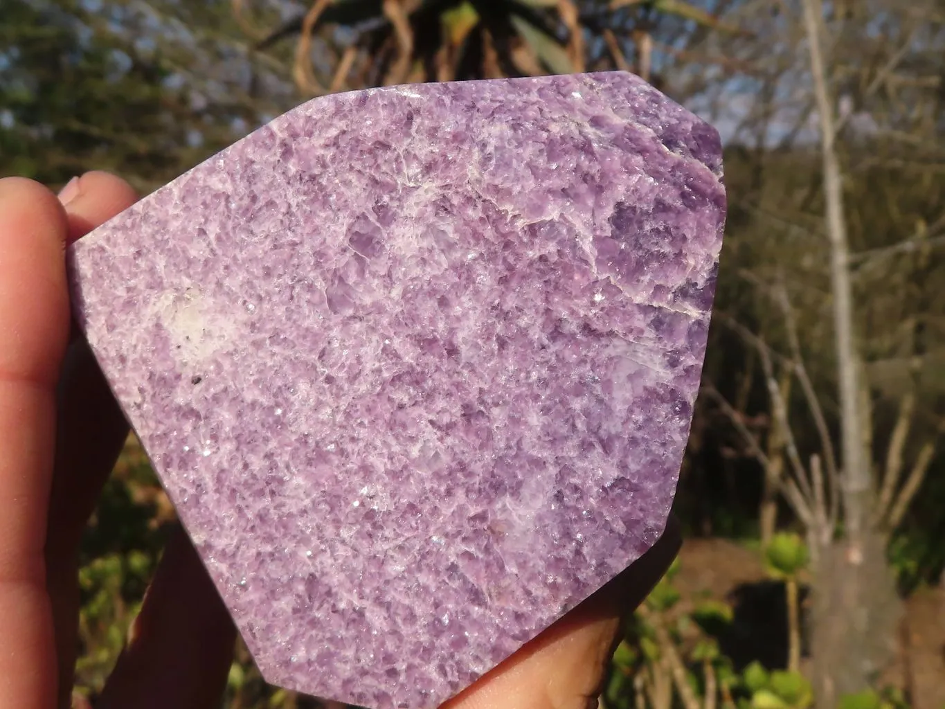 Polished  Pale Lepidolite Standing Free Form Points  x 3 From Zimbabwe