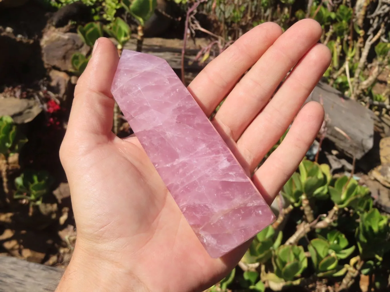 Polished Pink Rose Quartz Points & Standing Free Form x 3 From Antsirabe, Madagascar