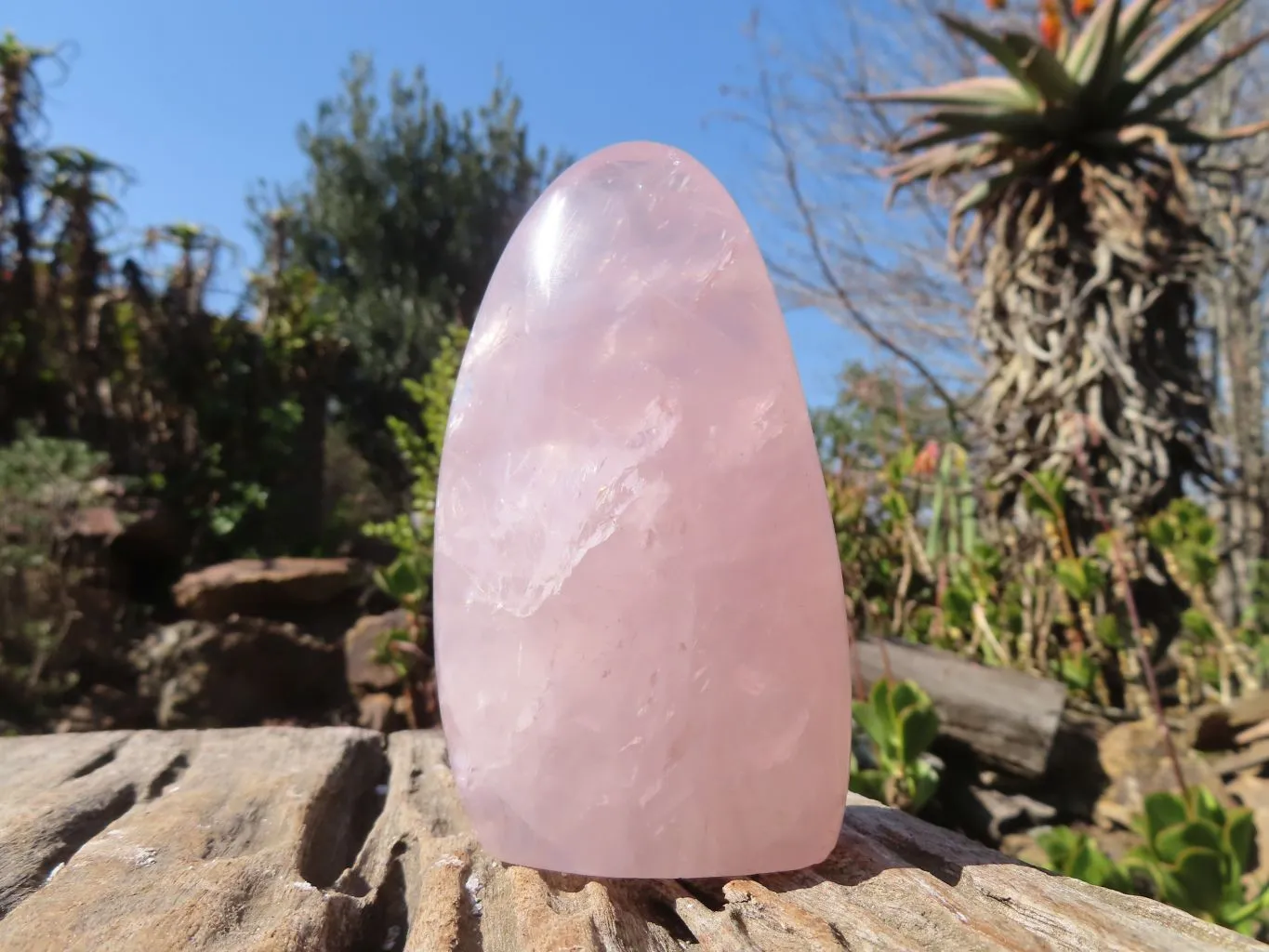 Polished Pink Rose Quartz Points & Standing Free Form x 3 From Antsirabe, Madagascar