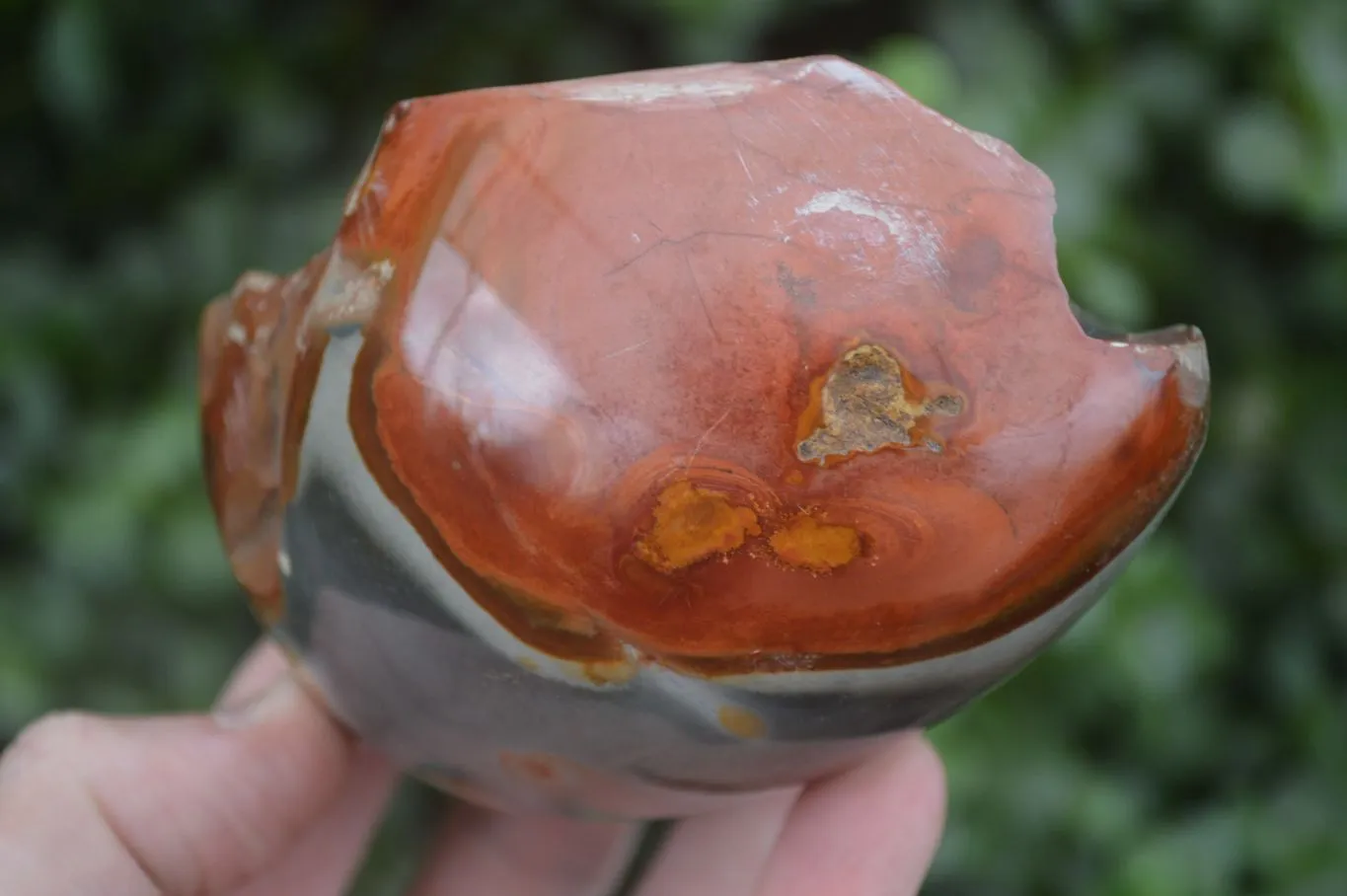 Polished Polychrome Jasper Nodules (Rough Back) x 3 From Madagascar