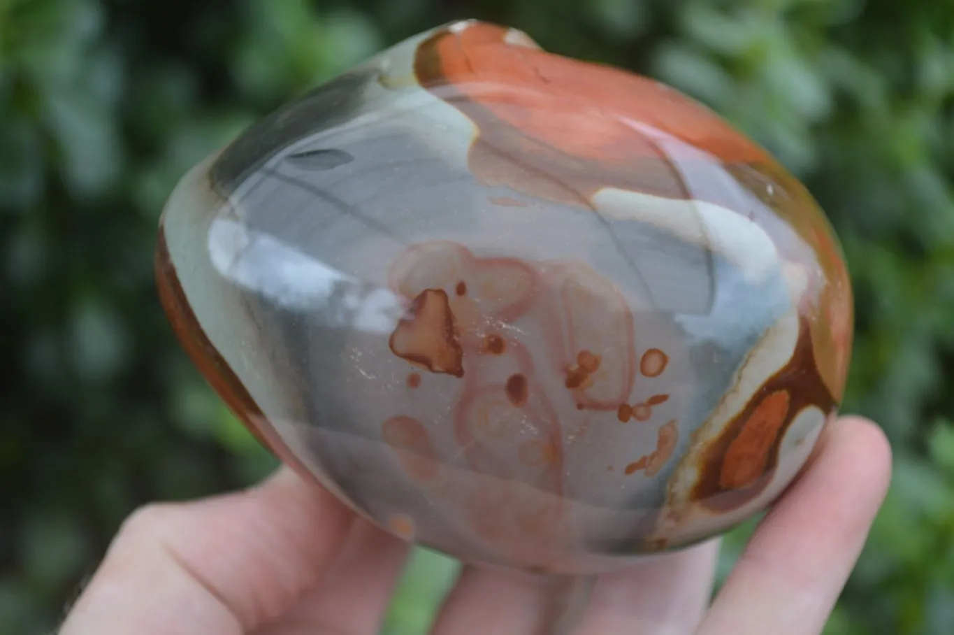 Polished Polychrome Jasper Nodules (Rough Back) x 3 From Madagascar