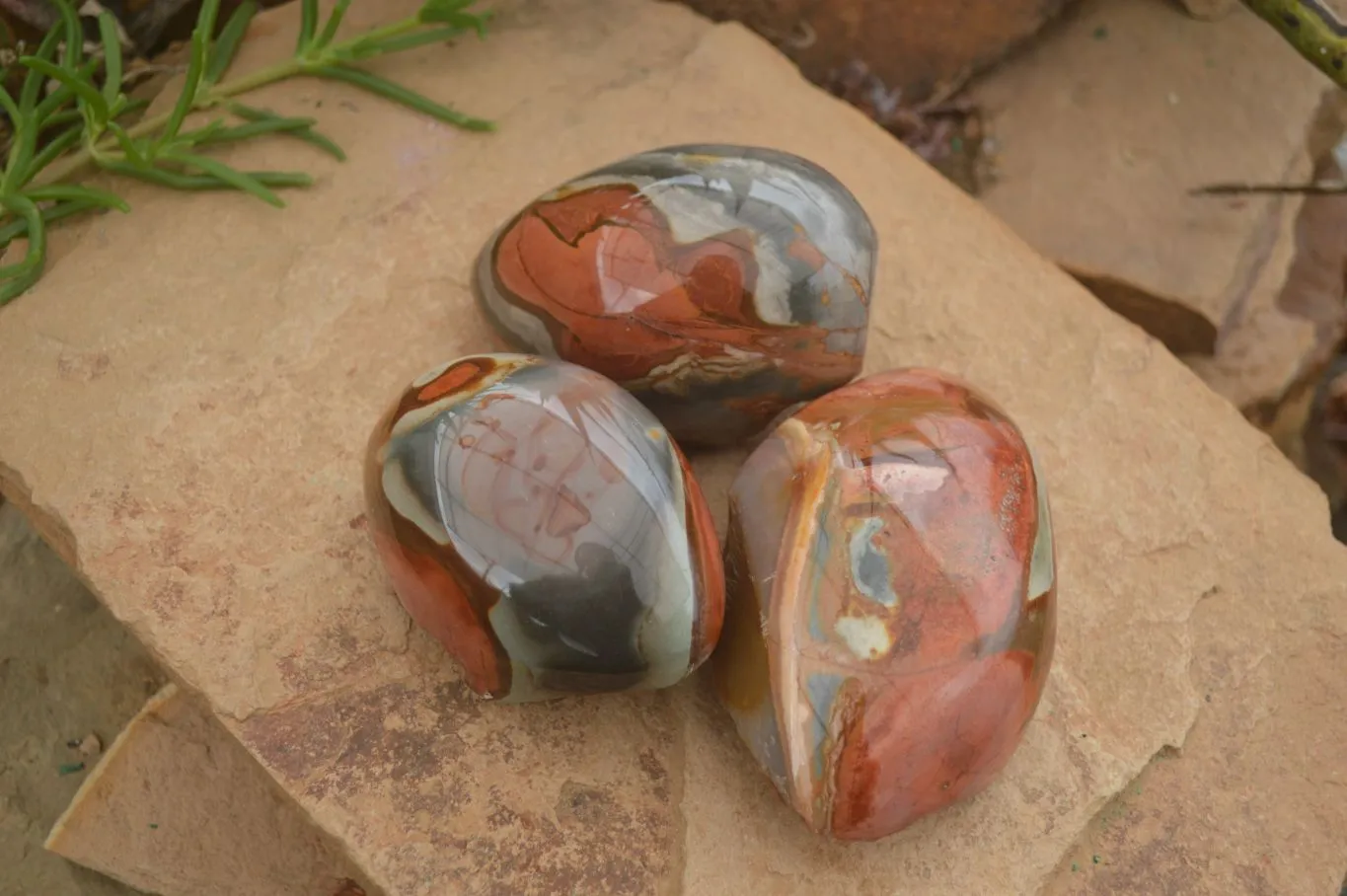 Polished Polychrome Jasper Nodules (Rough Back) x 3 From Madagascar