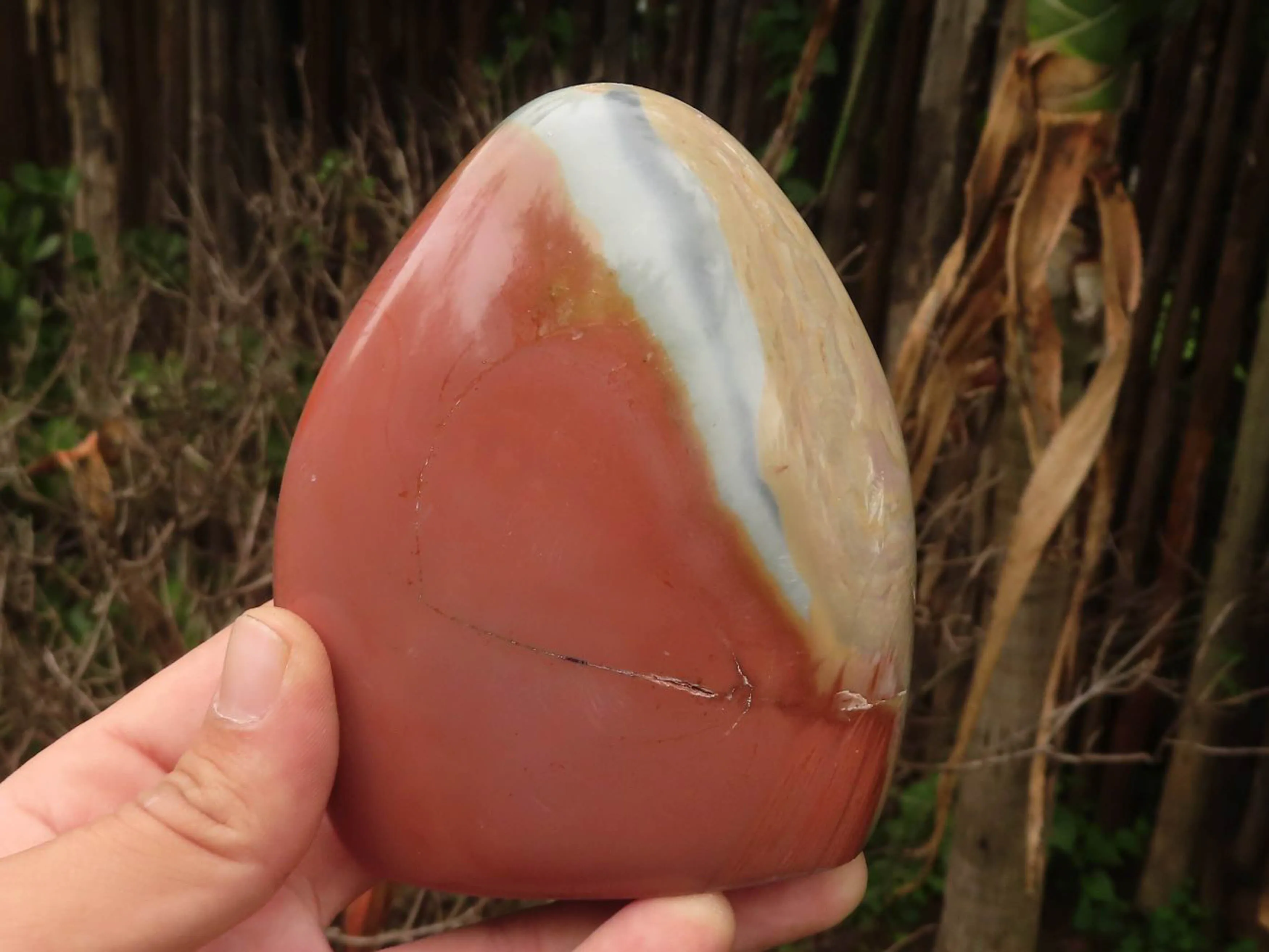 Polished Polychrome / Picasso Jasper Standing Free Forms  x 3 From Madagascar