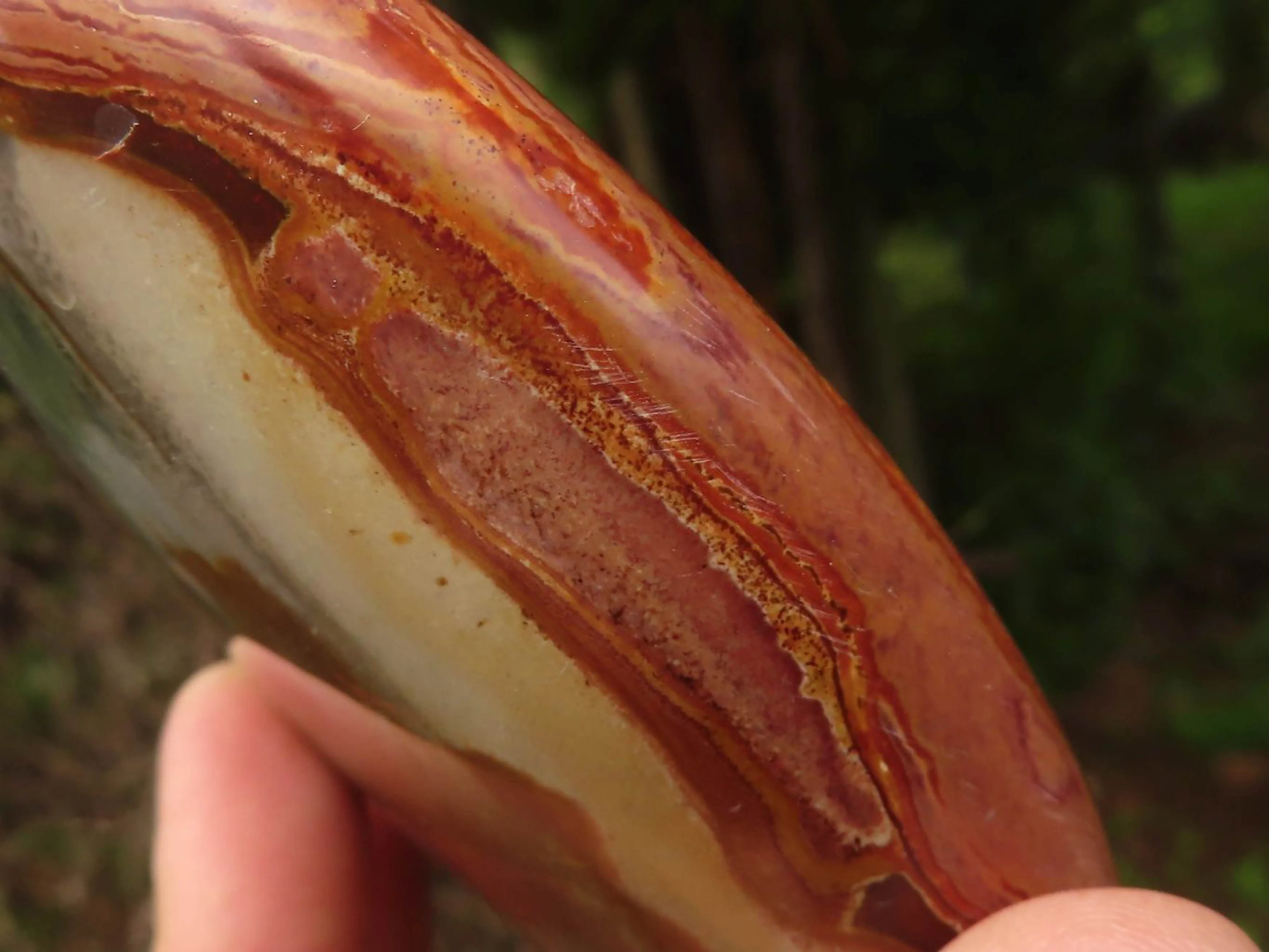 Polished Polychrome / Picasso Jasper Standing Free Forms  x 3 From Madagascar