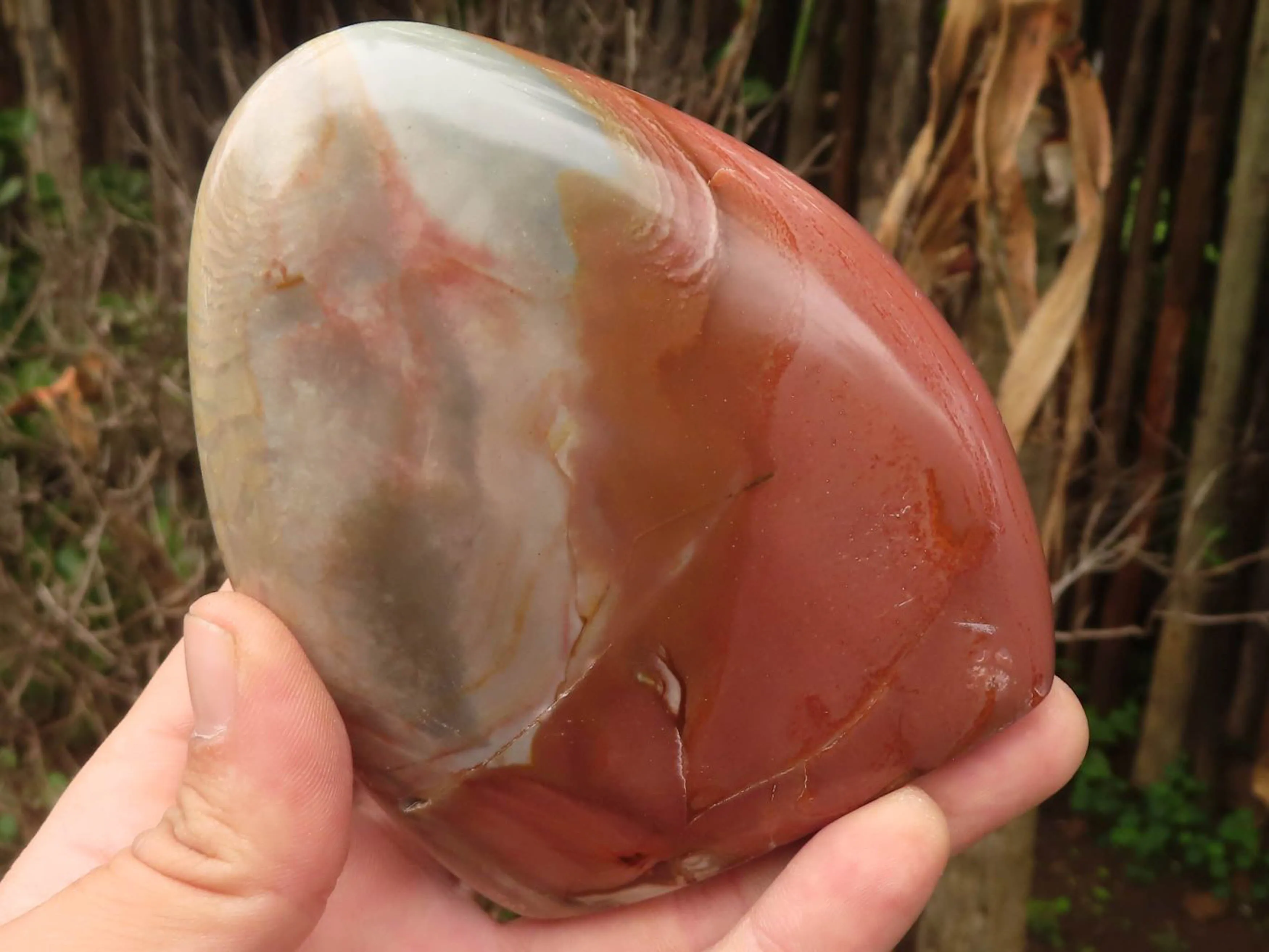 Polished Polychrome / Picasso Jasper Standing Free Forms  x 3 From Madagascar