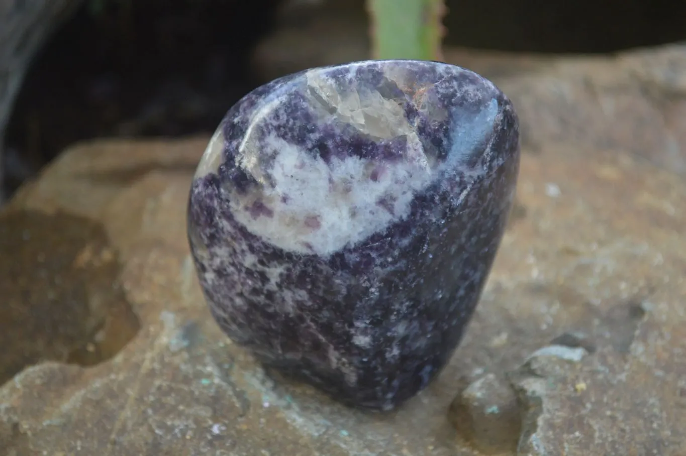 Polished Purple Lepidolite Free Forms  x 3 From Zimbabwe