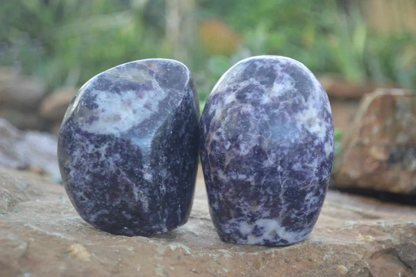 Polished Purple Lepidolite Free Forms  x 3 From Zimbabwe