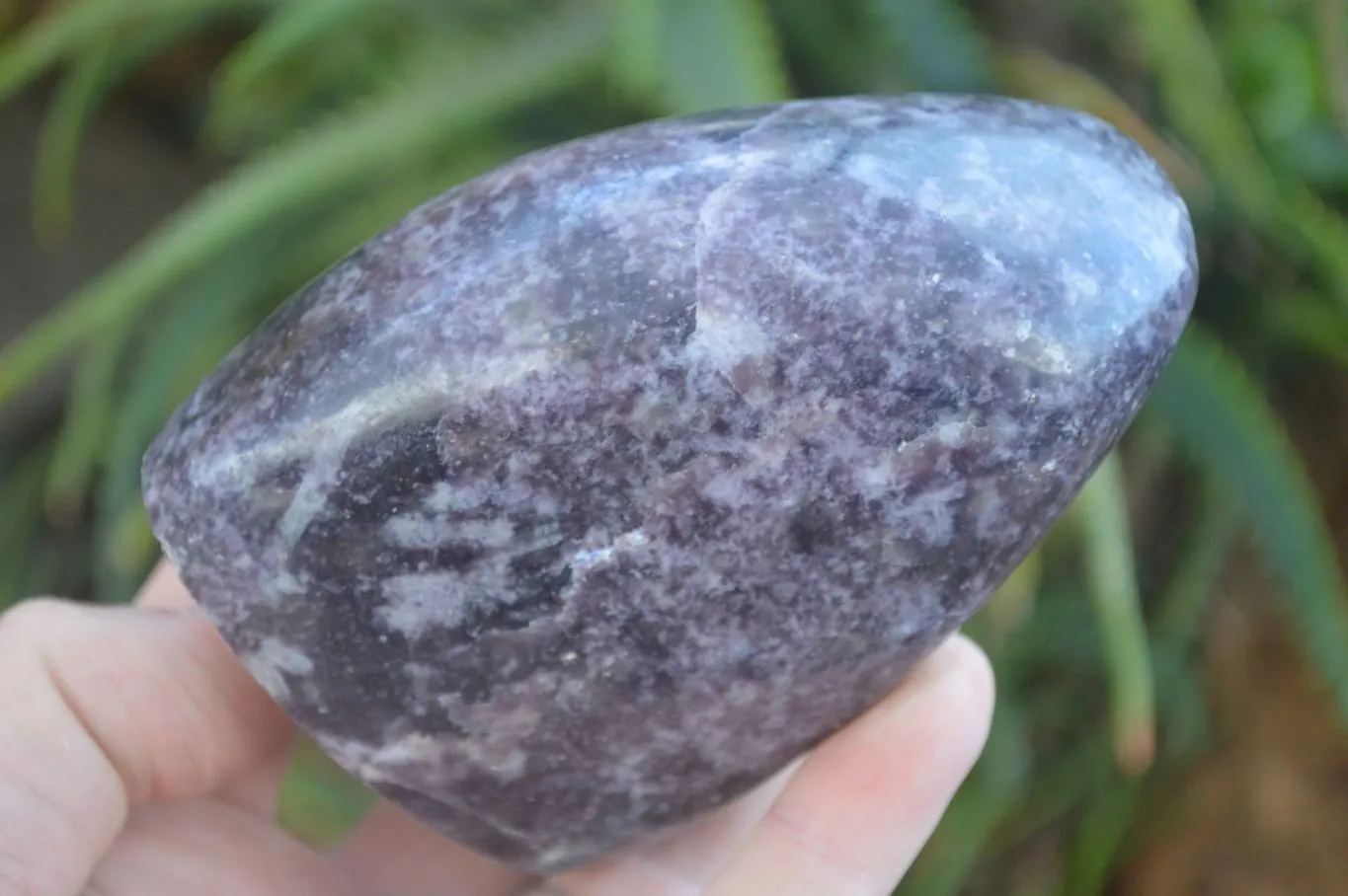 Polished Purple Lepidolite Free Forms  x 3 From Zimbabwe