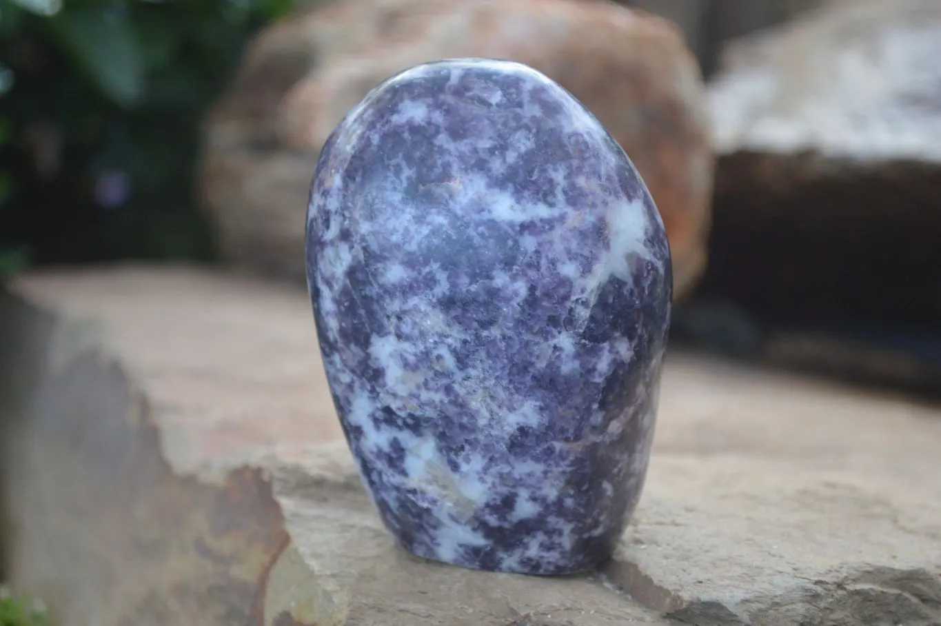 Polished Purple Lepidolite Free Forms  x 3 From Zimbabwe