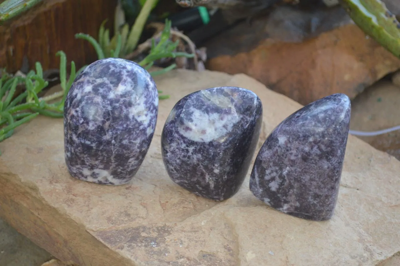 Polished Purple Lepidolite Free Forms  x 3 From Zimbabwe