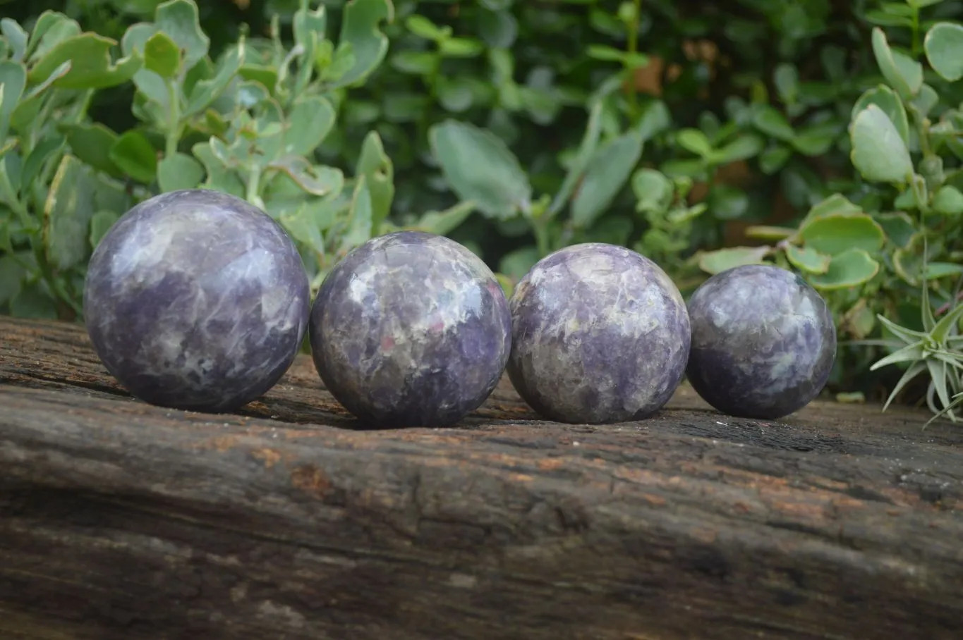 Polished Purple Rubellite Spheres (Some With Rubellite) x 6 From Madagascar