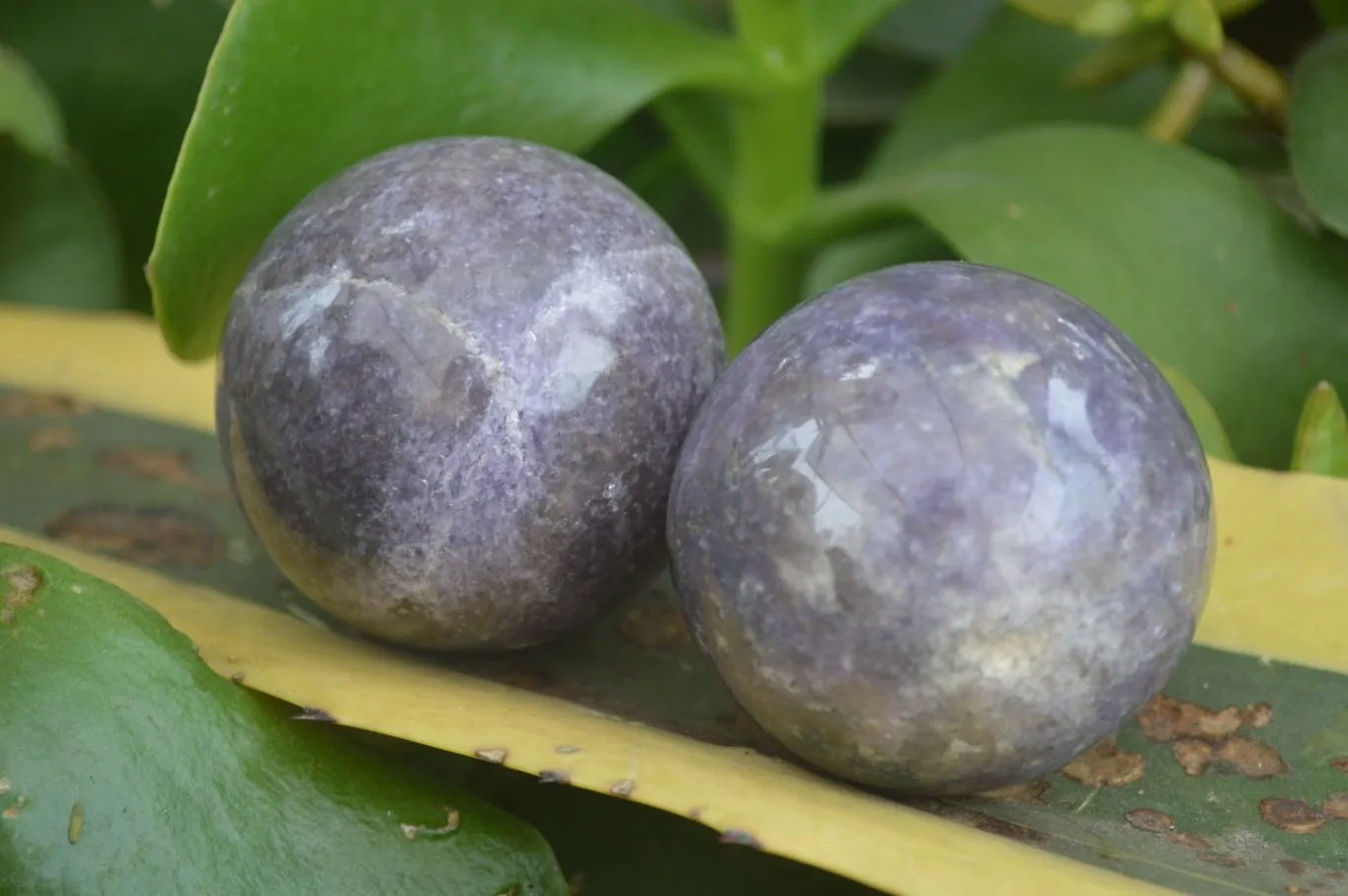 Polished Purple Rubellite Spheres (Some With Rubellite) x 6 From Madagascar