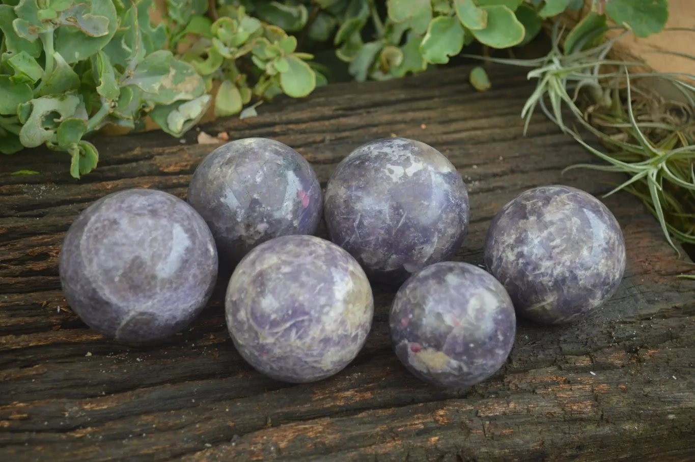 Polished Purple Rubellite Spheres (Some With Rubellite) x 6 From Madagascar