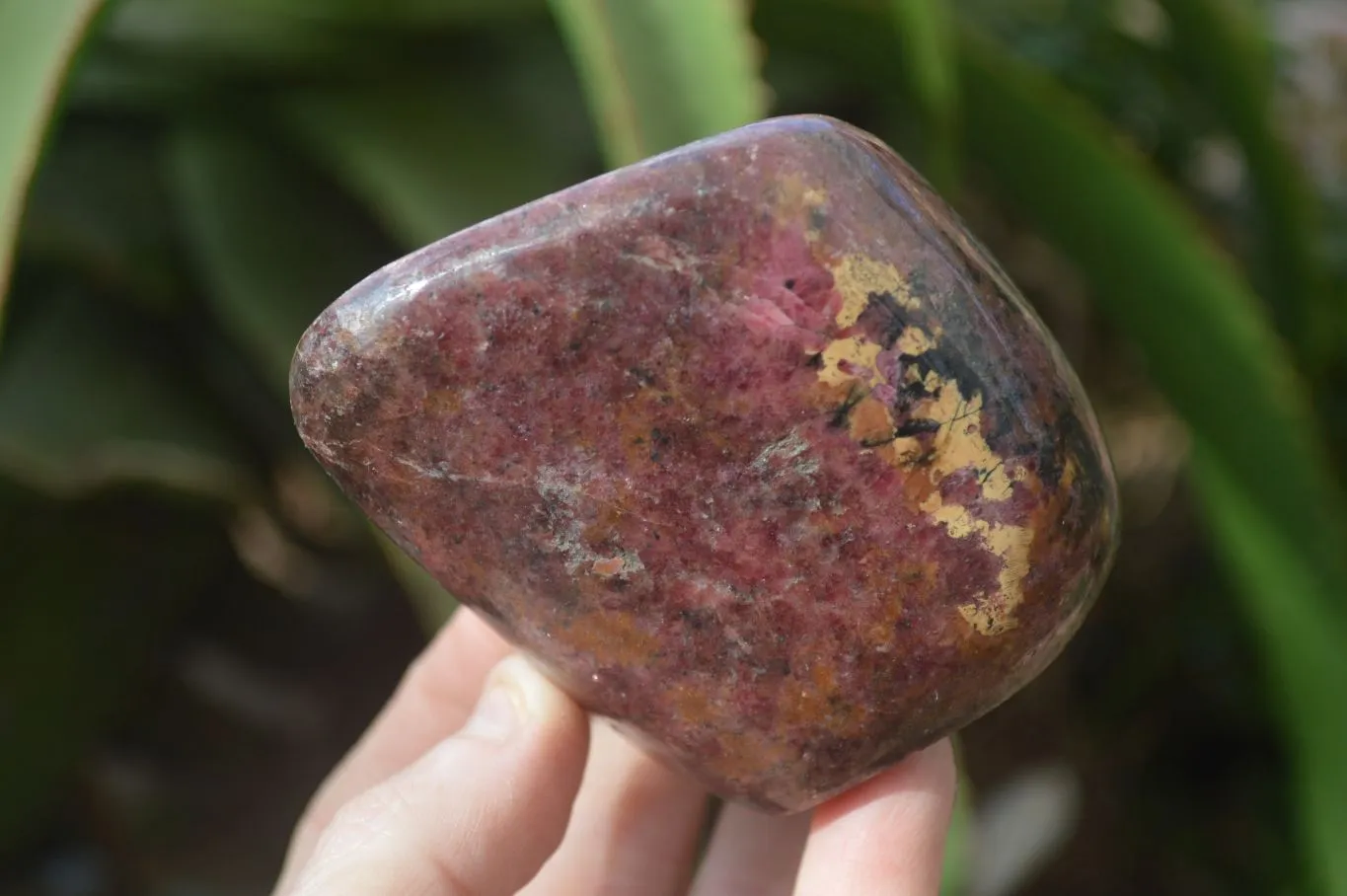 Polished Red Rhodonite Standing Free Forms x 3 From Zimbabwe