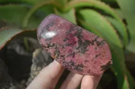 Polished Red Rhodonite Standing Free Forms x 3 From Zimbabwe