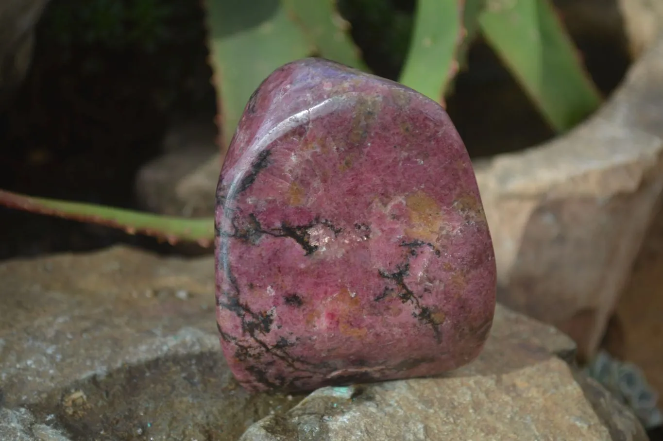 Polished Red Rhodonite Standing Free Forms x 3 From Zimbabwe