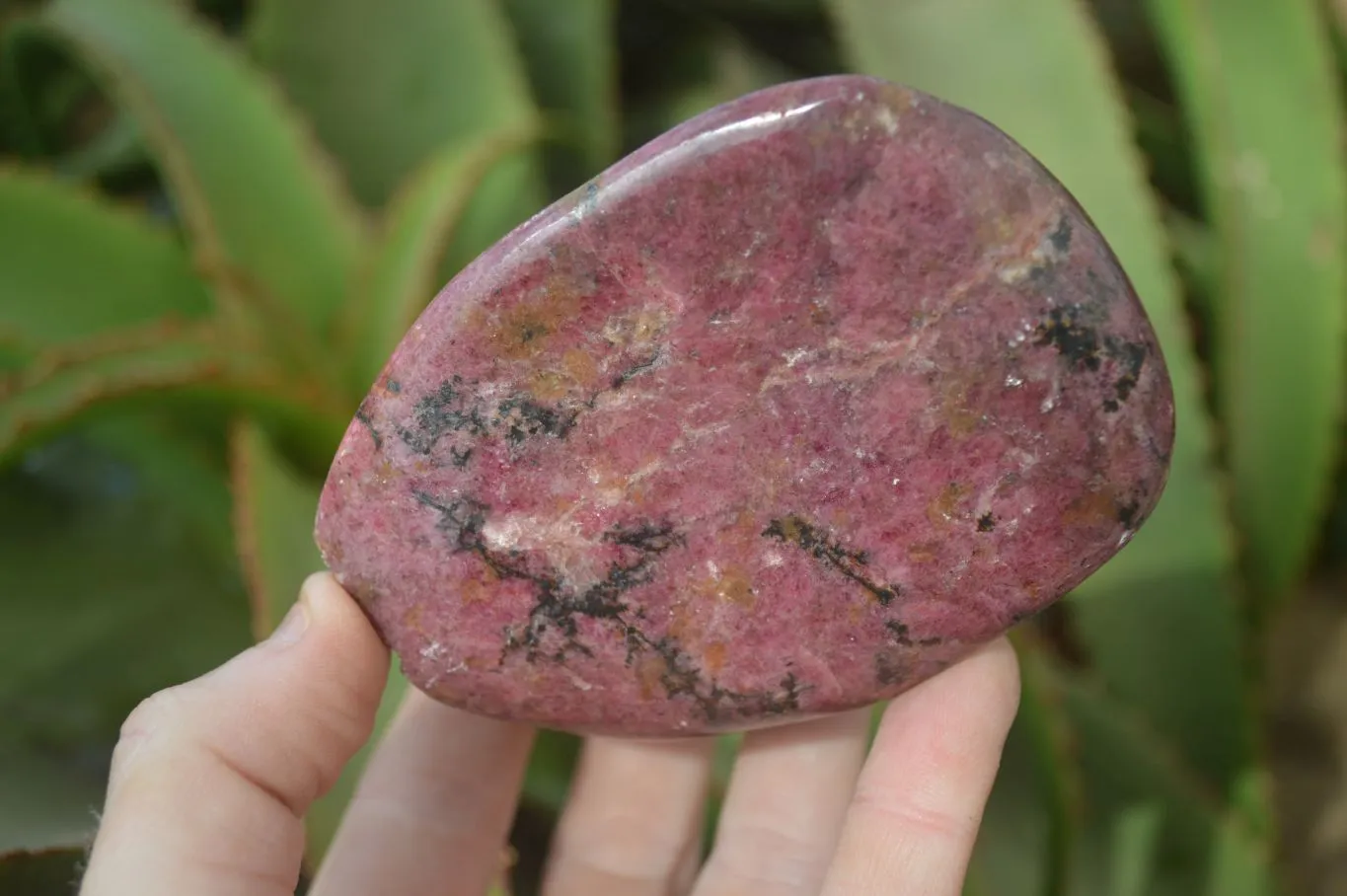 Polished Red Rhodonite Standing Free Forms x 3 From Zimbabwe