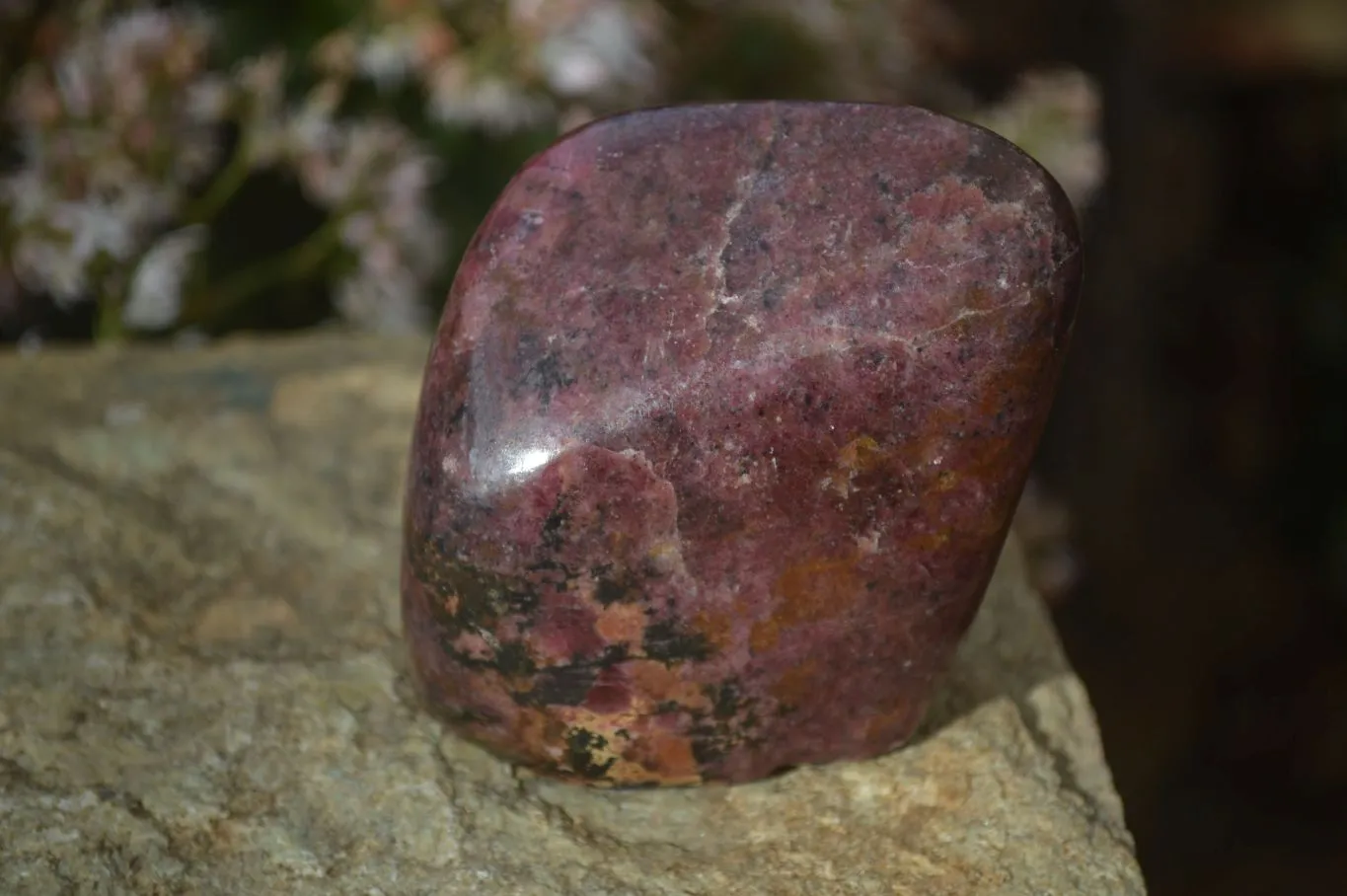 Polished Red Rhodonite Standing Free Forms x 3 From Zimbabwe