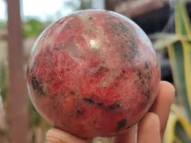 Polished Rhodonite Spheres x 2 From Zimbabwe