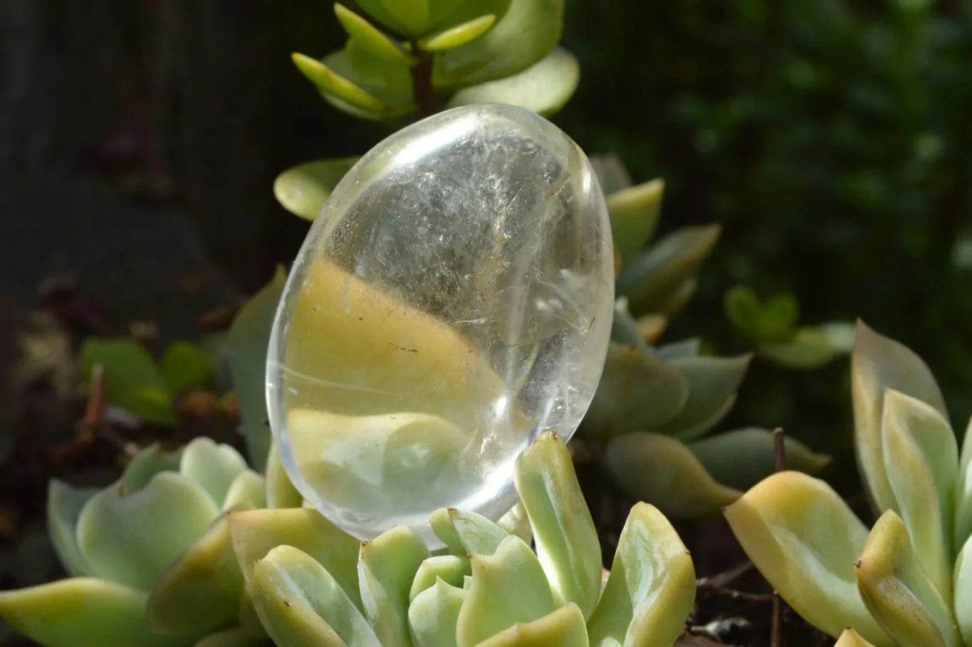 Polished Rock Crystal Quartz Galet / Palm Stones x 20 From Madagascar