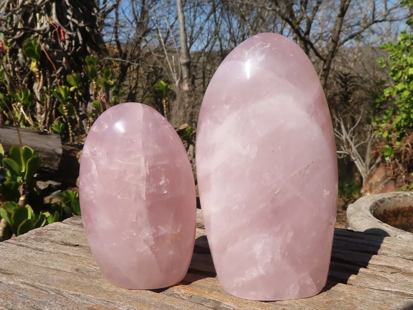 Polished Rose Quartz Standing Free Forms x 3 From Madagascar