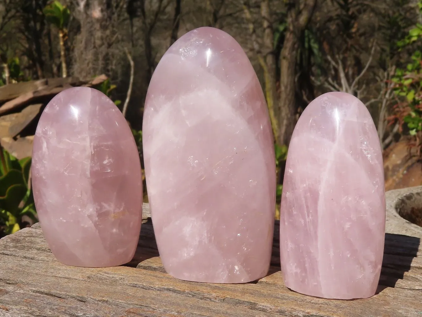 Polished Rose Quartz Standing Free Forms x 3 From Madagascar