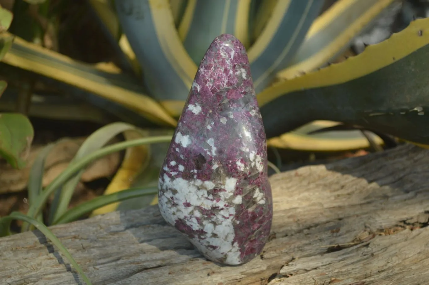 Polished Rubellite Pink Tourmaline Standing Free Form x 1 From Madagascar