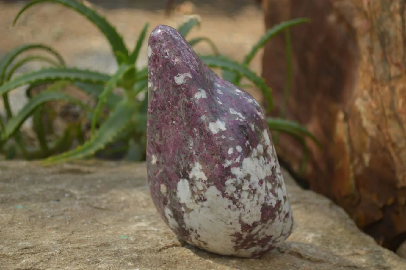 Polished Rubellite Pink Tourmaline Standing Free Form x 1 From Madagascar