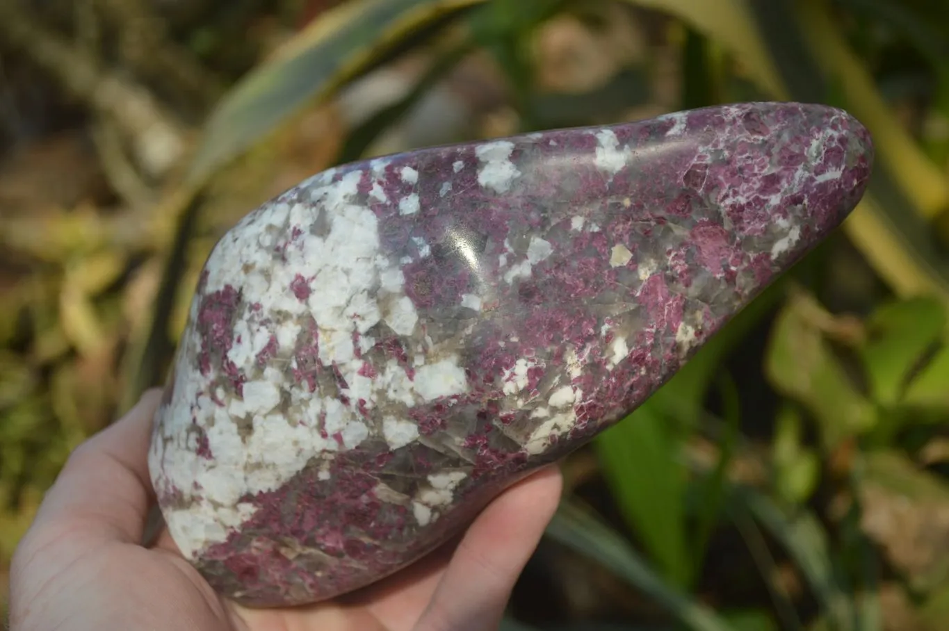 Polished Rubellite Pink Tourmaline Standing Free Form x 1 From Madagascar