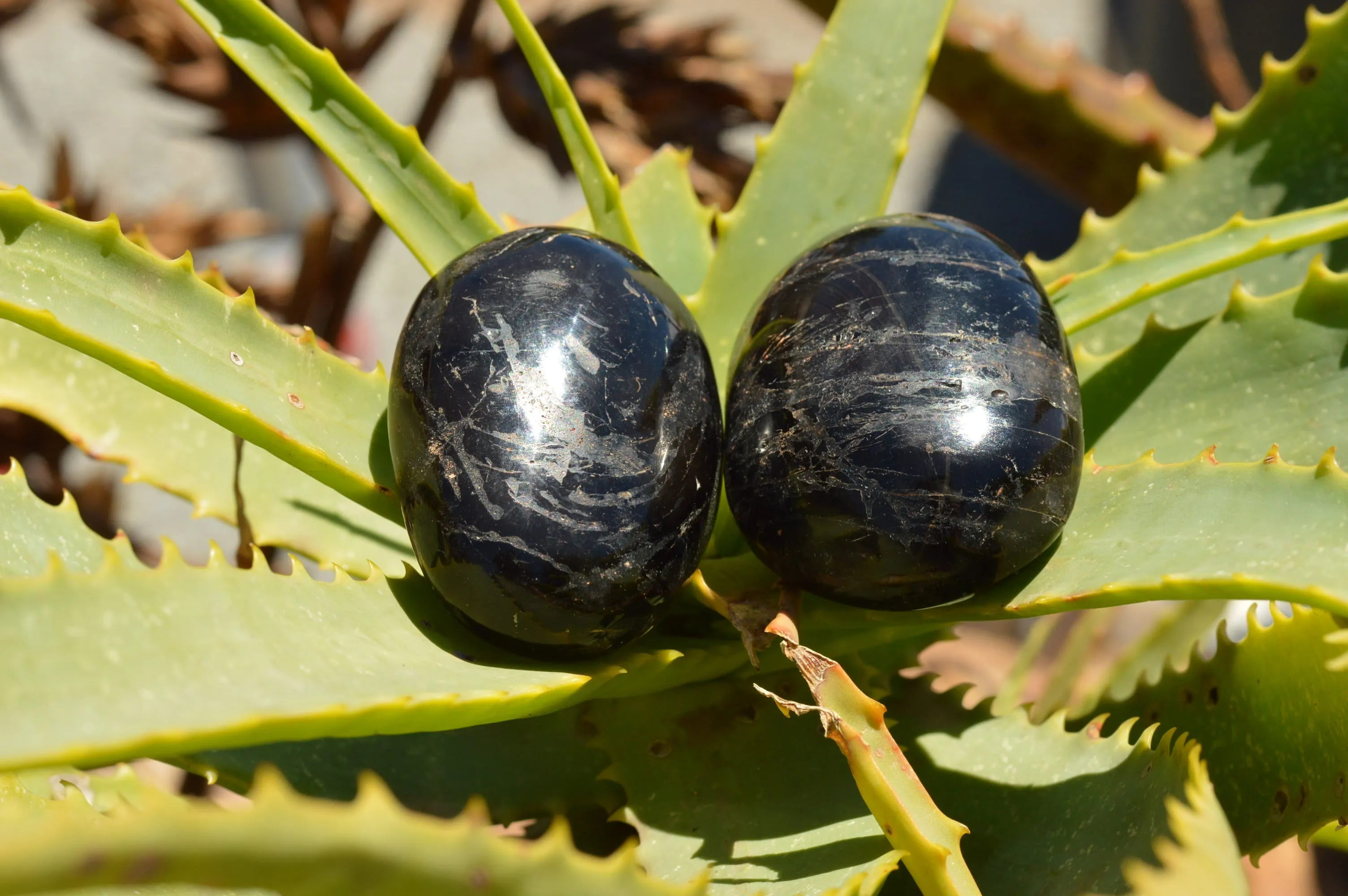 Polished Schorl Black Tourmaline Galet / Palm Stones x 12 From Madagascar