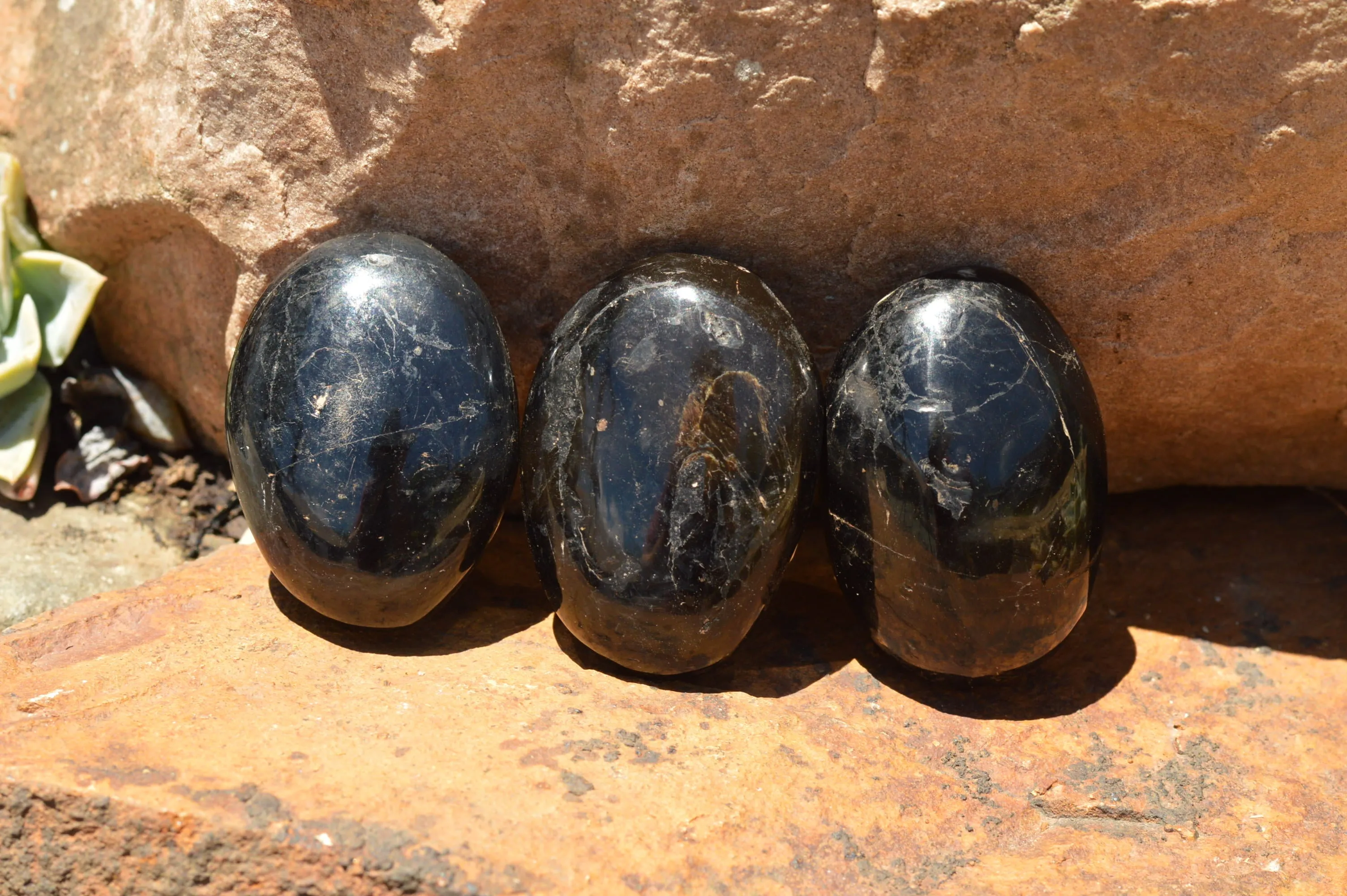 Polished Schorl Black Tourmaline Galet / Palm Stones x 12 From Madagascar