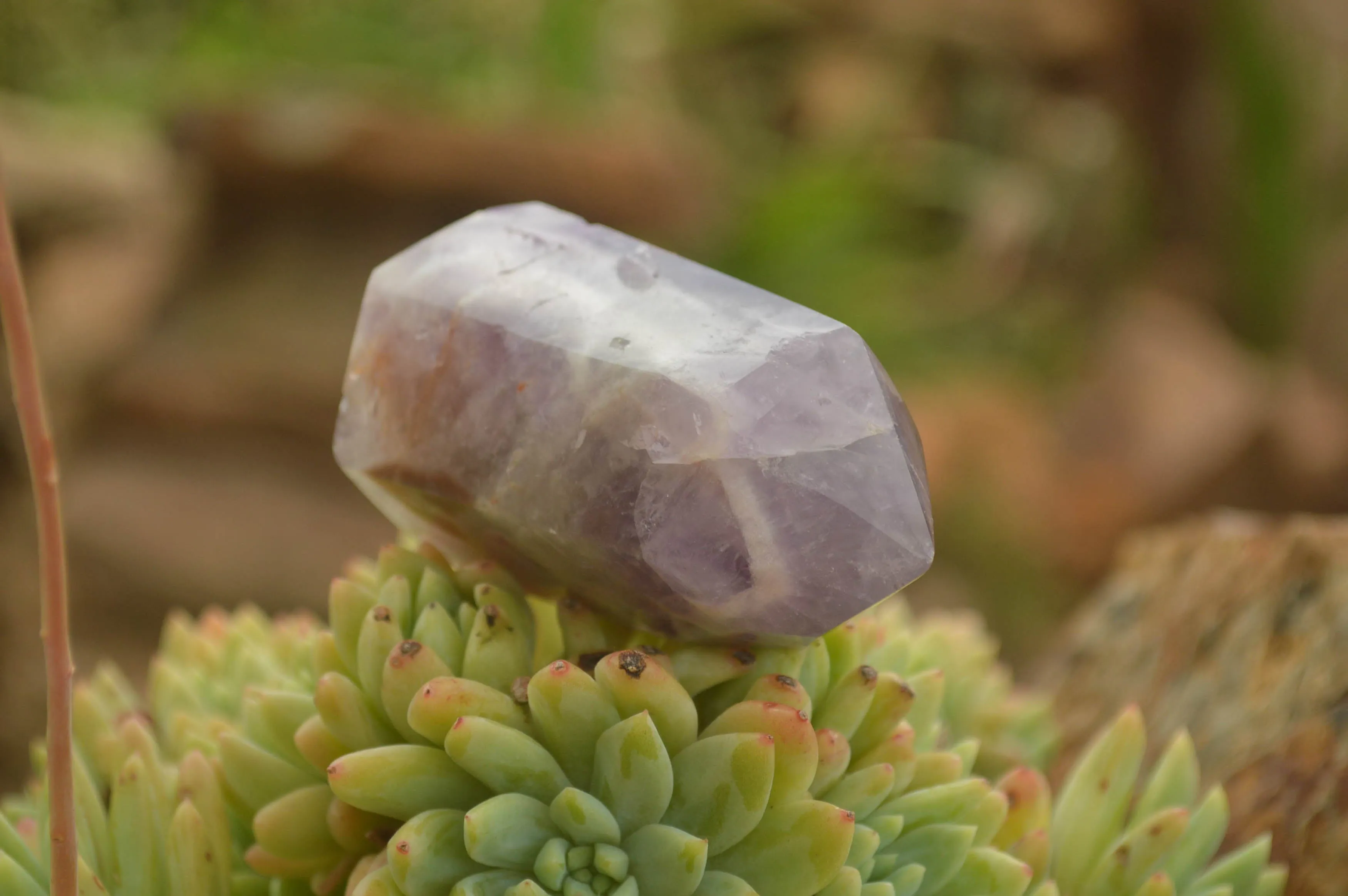 Polished Smokey Amethyst Points x 12 From Madagascar