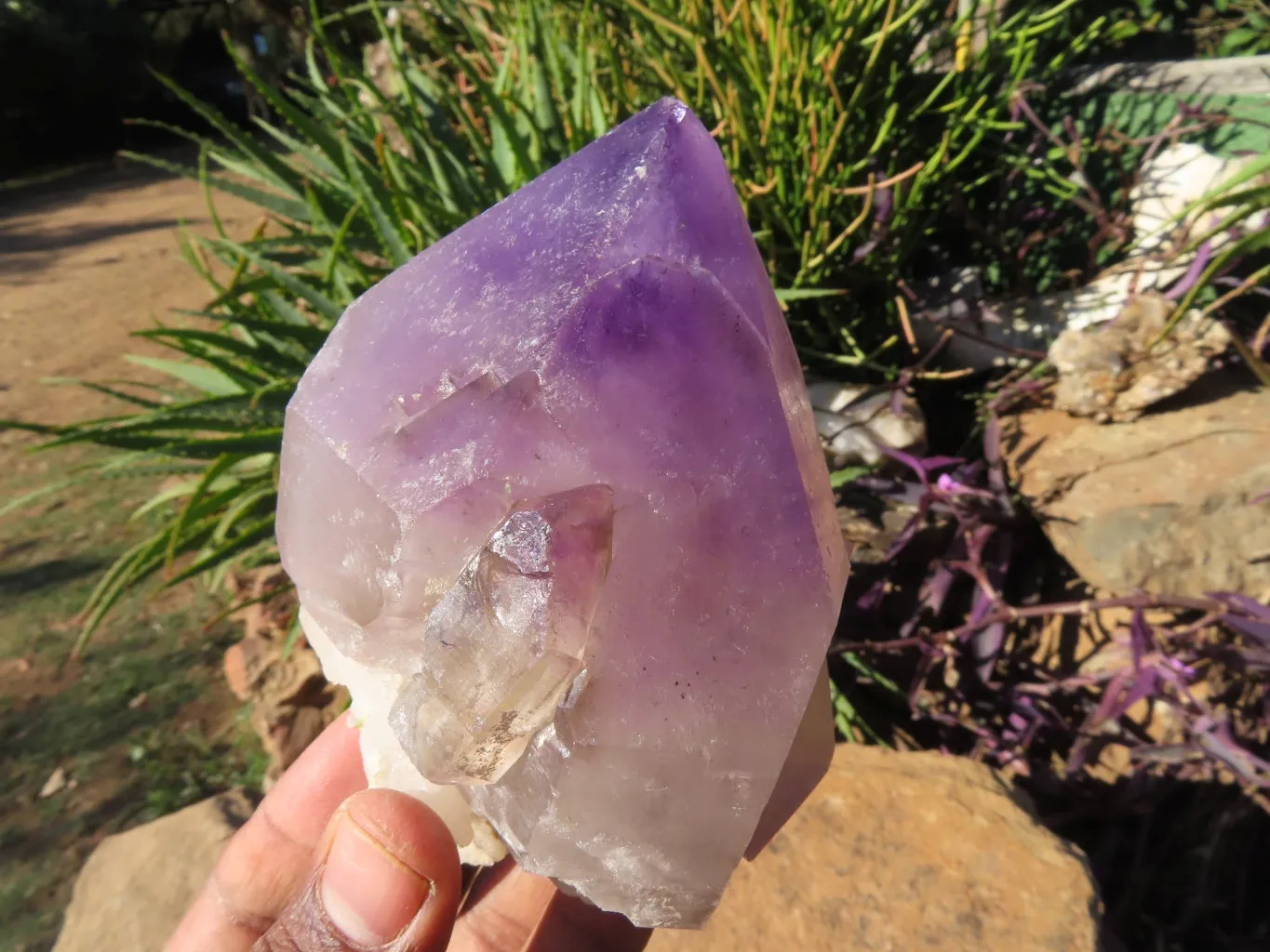 Polished Smokey Amethyst Window Quartz Crystals One In A Sceptre x 2 From Madagascar