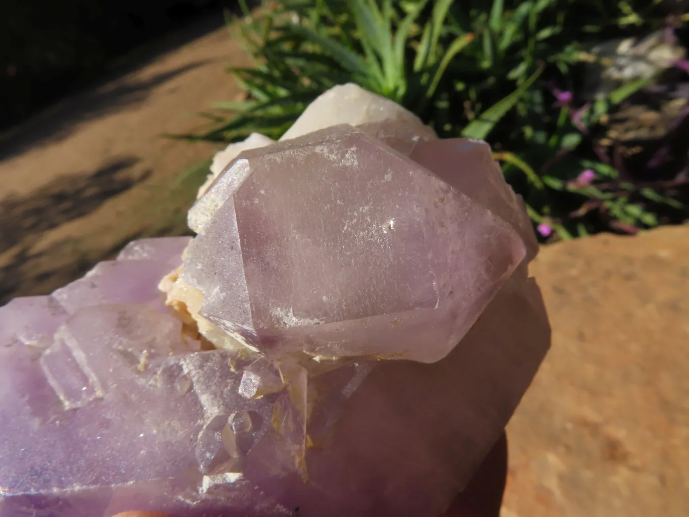 Polished Smokey Amethyst Window Quartz Crystals One In A Sceptre x 2 From Madagascar