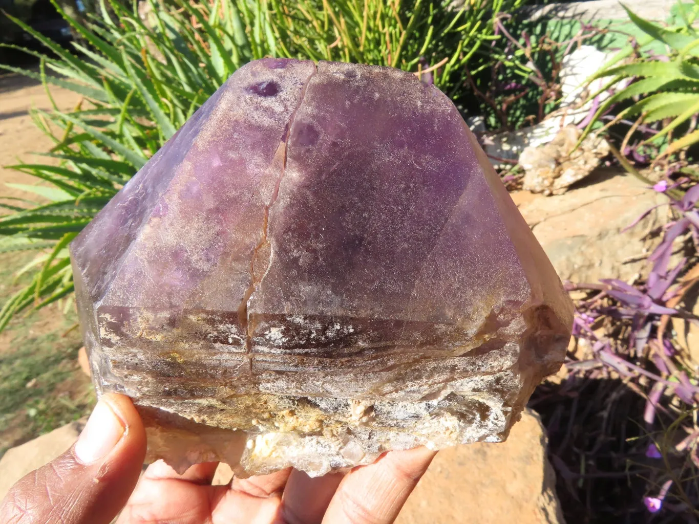 Polished Smokey Amethyst Window Quartz Crystals One In A Sceptre x 2 From Madagascar