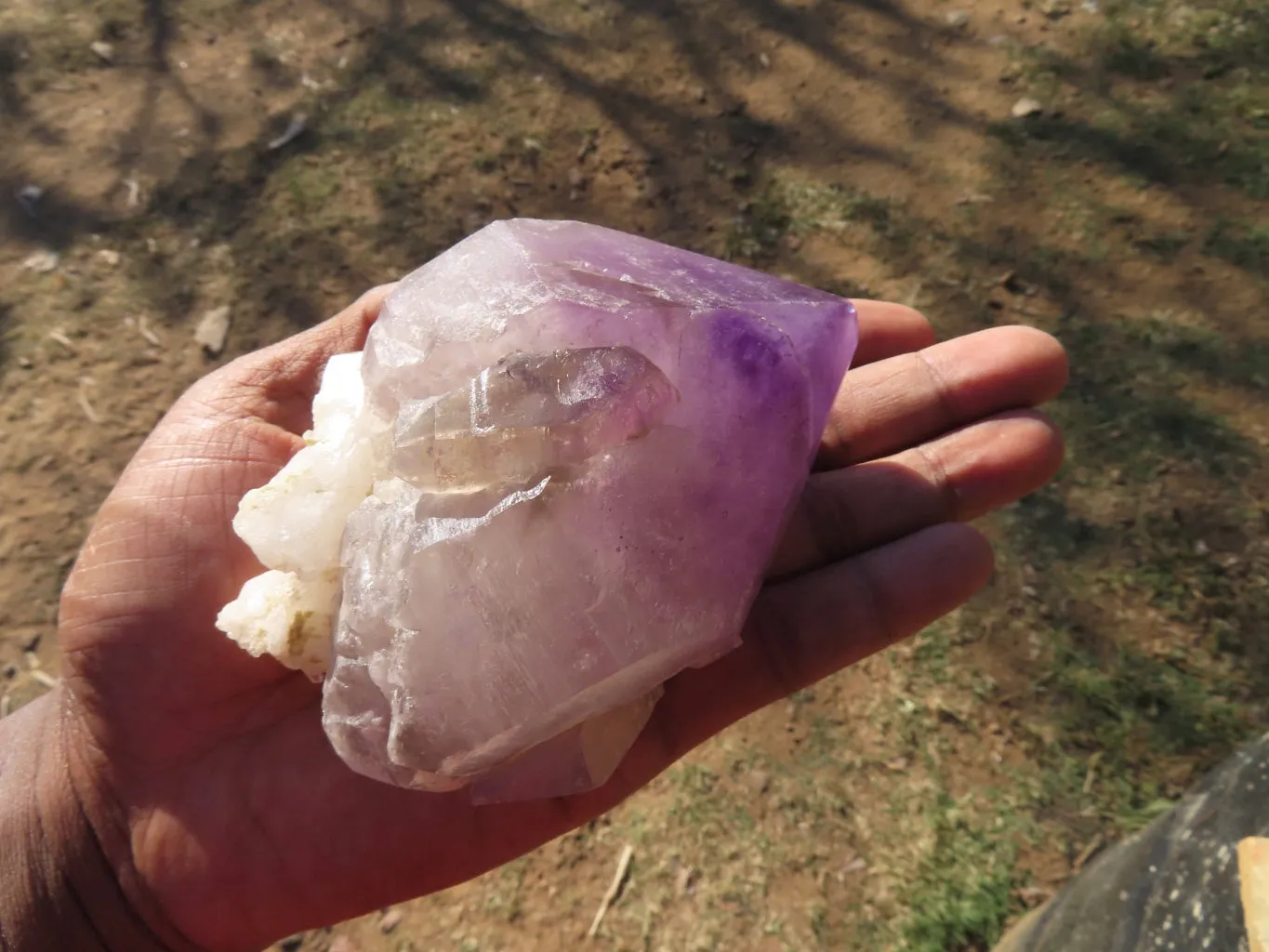 Polished Smokey Amethyst Window Quartz Crystals One In A Sceptre x 2 From Madagascar