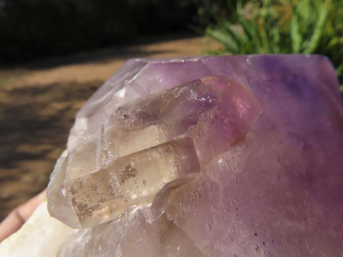 Polished Smokey Amethyst Window Quartz Crystals One In A Sceptre x 2 From Madagascar