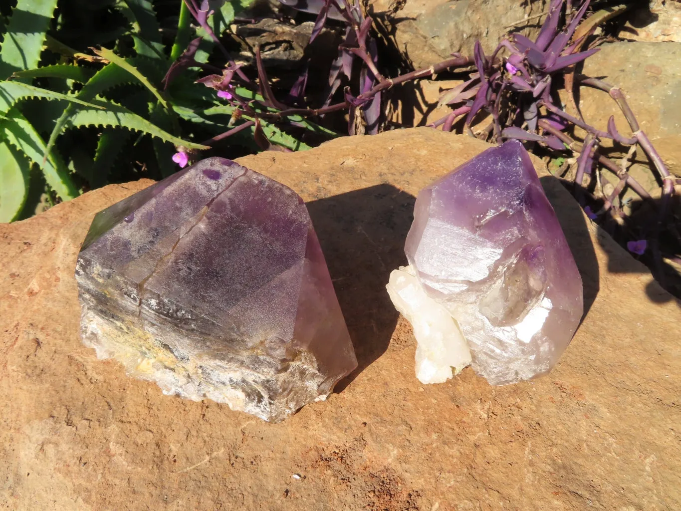 Polished Smokey Amethyst Window Quartz Crystals One In A Sceptre x 2 From Madagascar