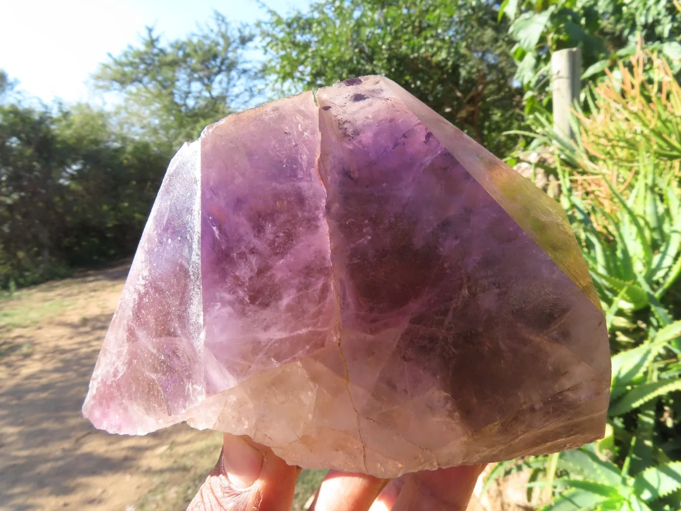 Polished Smokey Amethyst Window Quartz Crystals One In A Sceptre x 2 From Madagascar