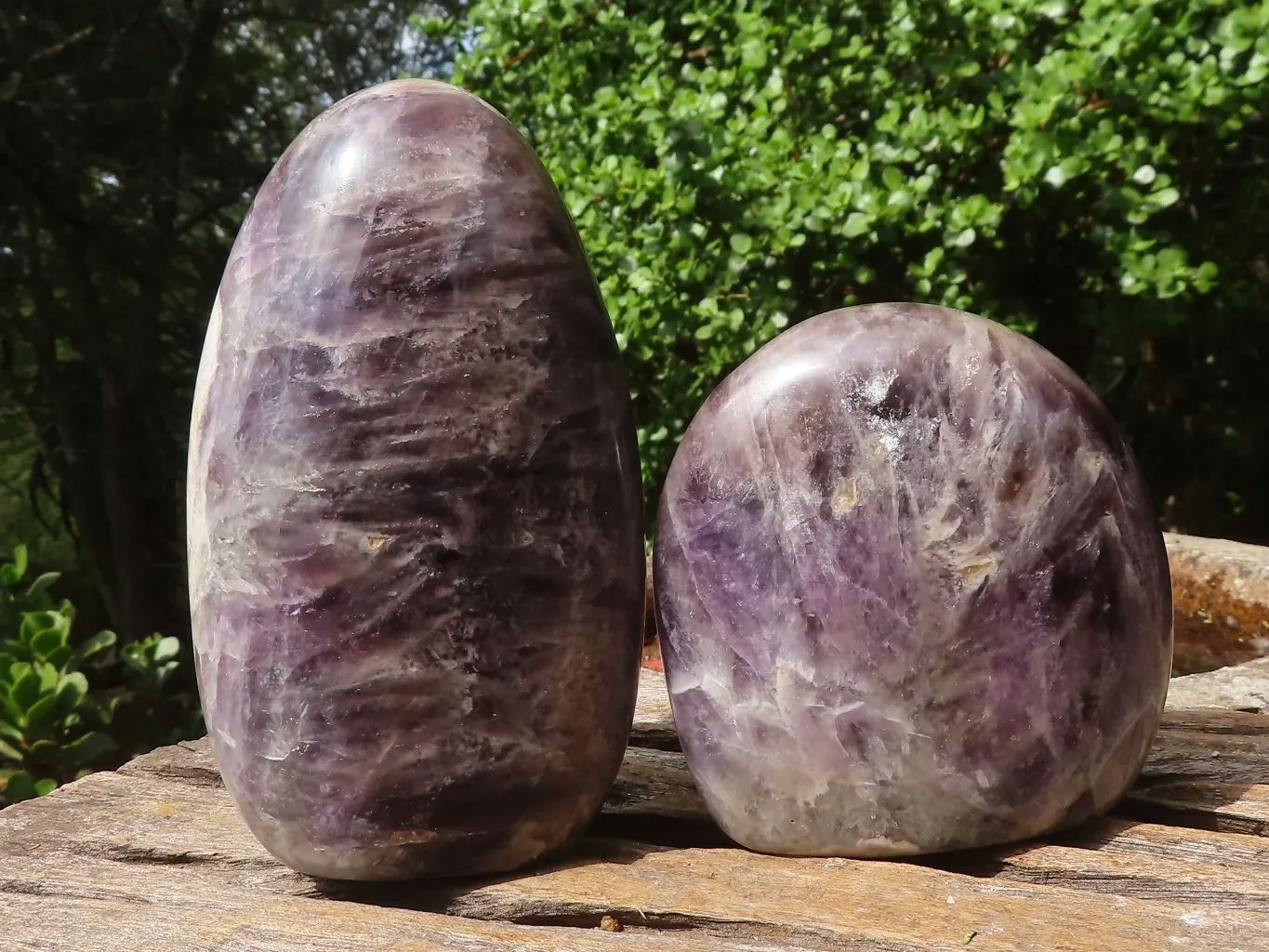 Polished Smokey Dream Amethyst Standing Free Forms x 2 From Madagascar