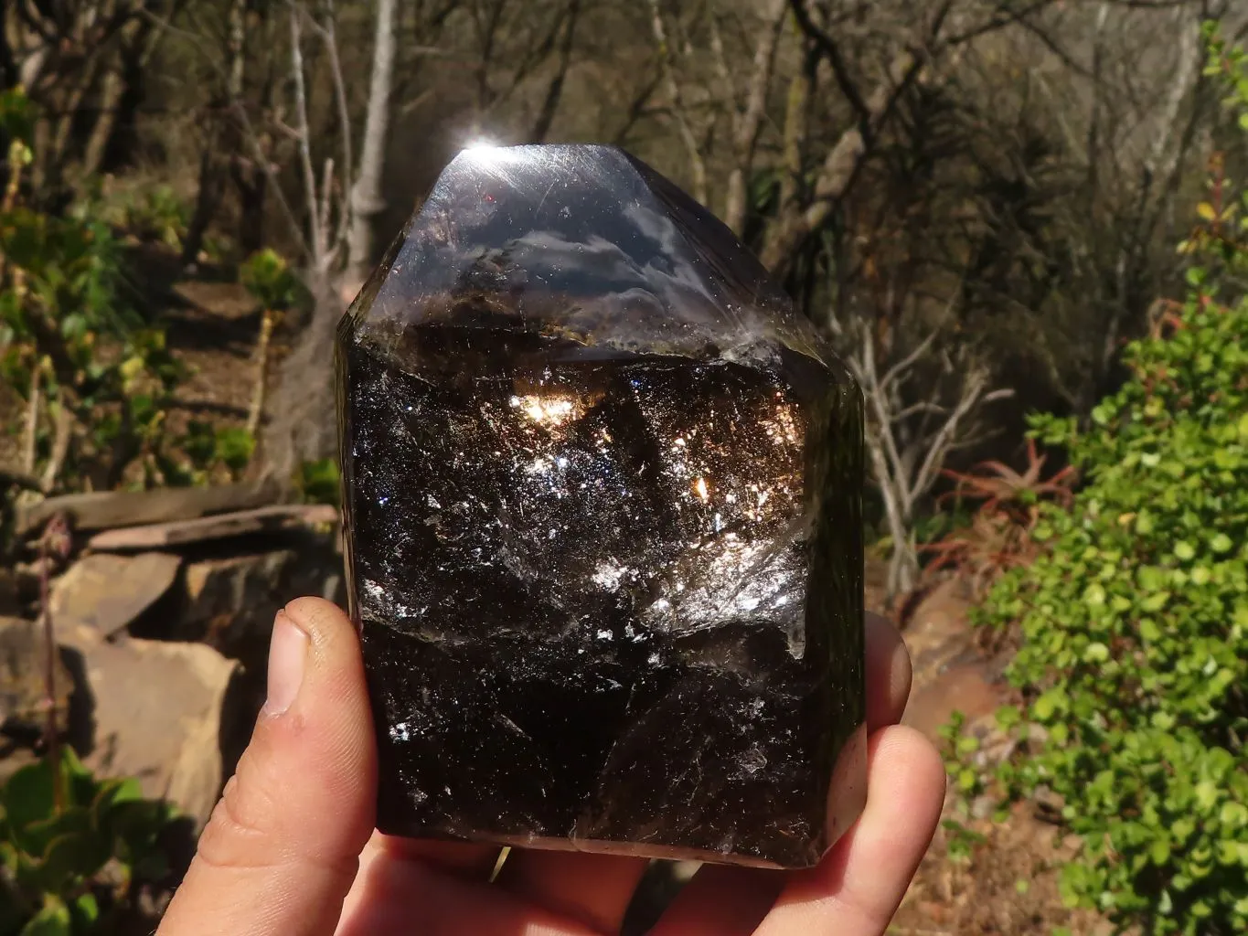 Polished Smokey Morion Quartz Crystals x 2 From Madagascar