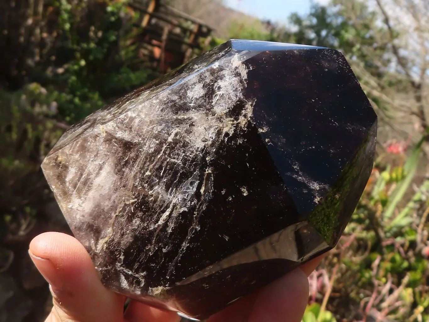 Polished Smokey Morion Quartz Crystals x 2 From Madagascar