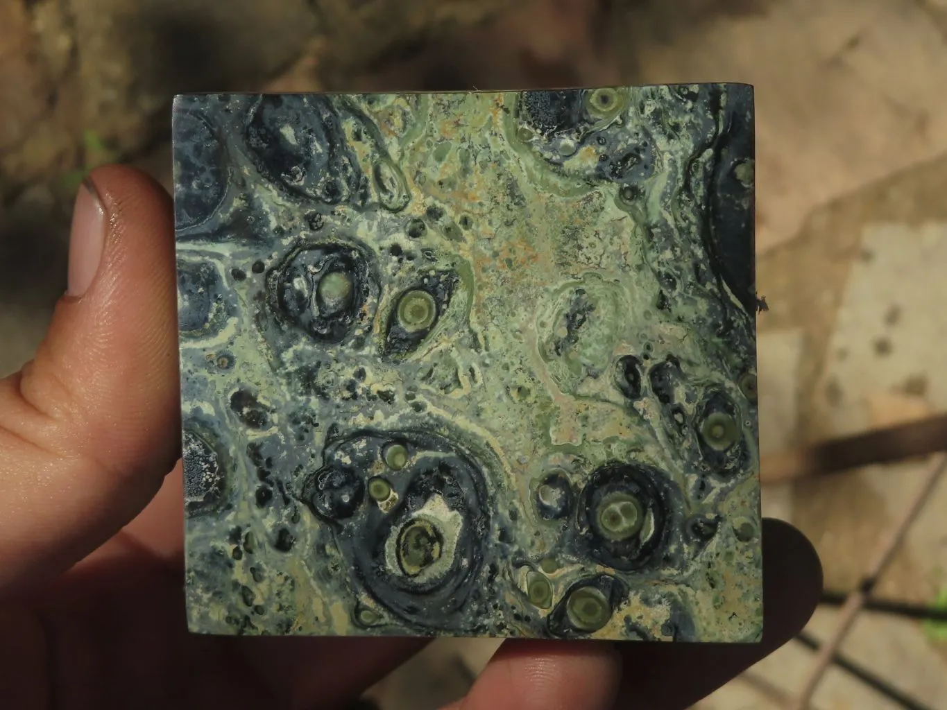 Polished Stromatolite / Kambamba Jasper Cubes (Corners Cut To Stand) x 4 From Mahajanga, Madagascar