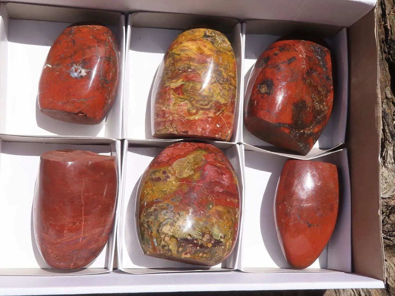 Polished Stunning Red Flame Jasper Standing Free Forms  x 6 From Madagascar