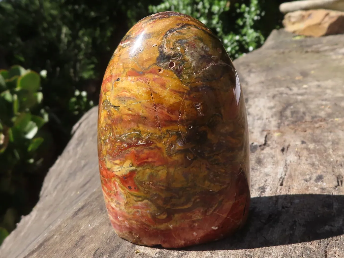 Polished Stunning Red Flame Jasper Standing Free Forms  x 6 From Madagascar