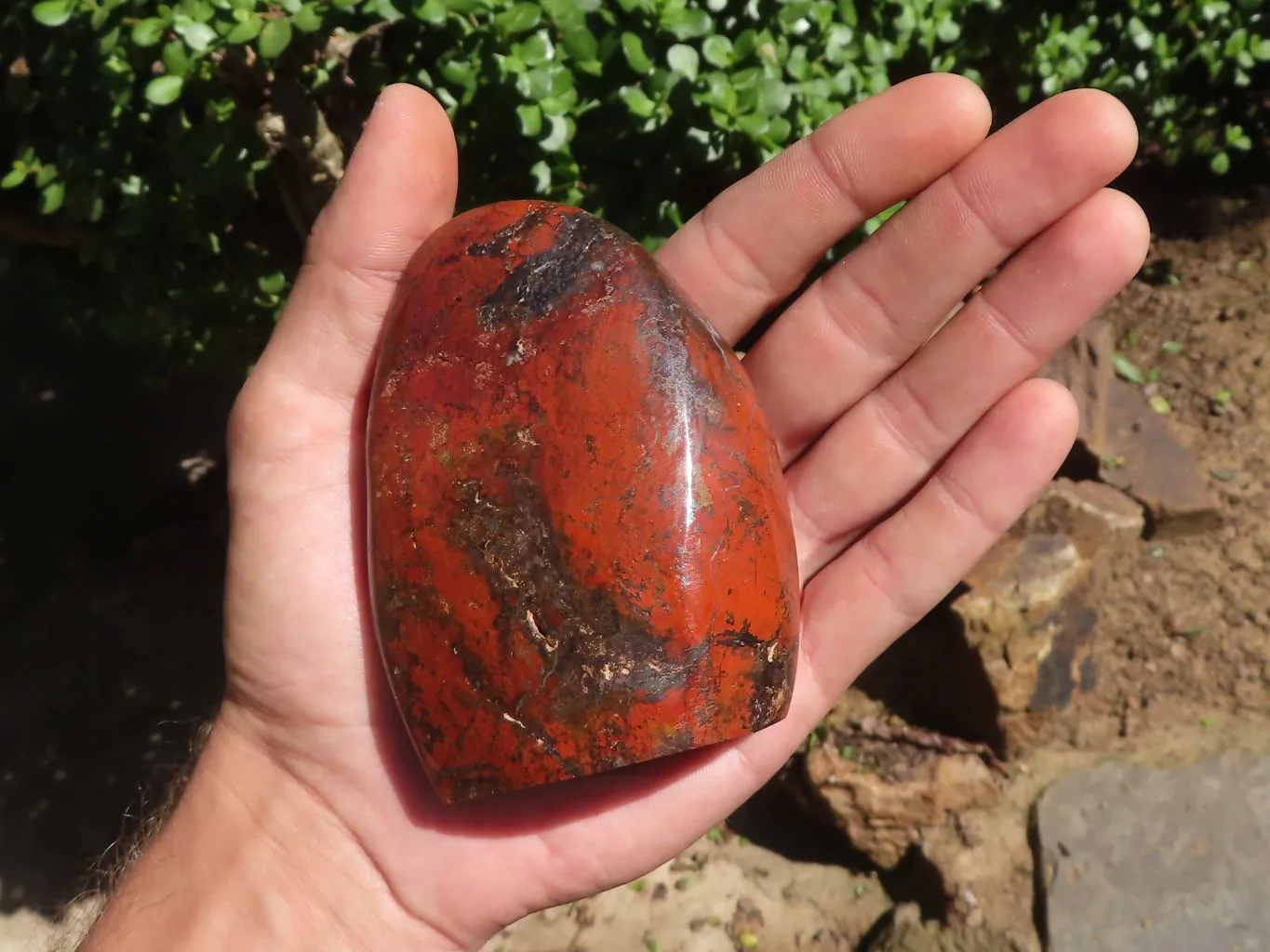 Polished Stunning Red Flame Jasper Standing Free Forms  x 6 From Madagascar