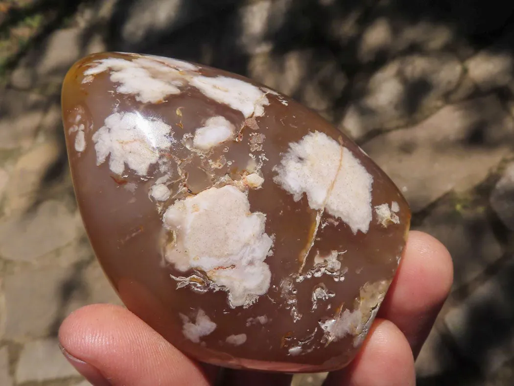 Polished Stunning Selection Of Dendritic & Coral Flower Agate Standing Free Forms x 4 From Madagascar